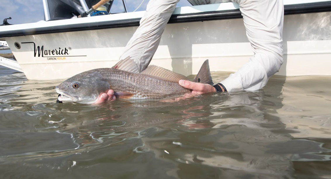 holding a Redfish